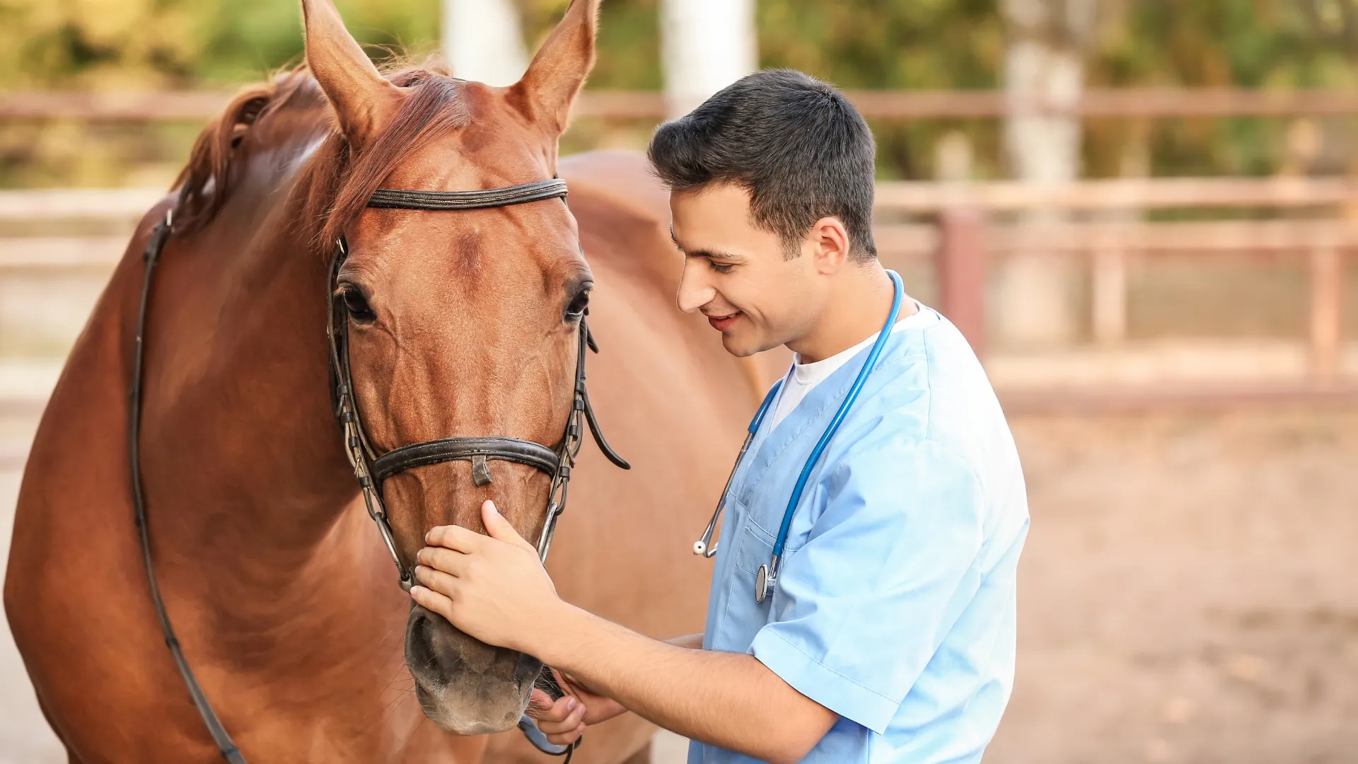 Diego Rufino Veterinário